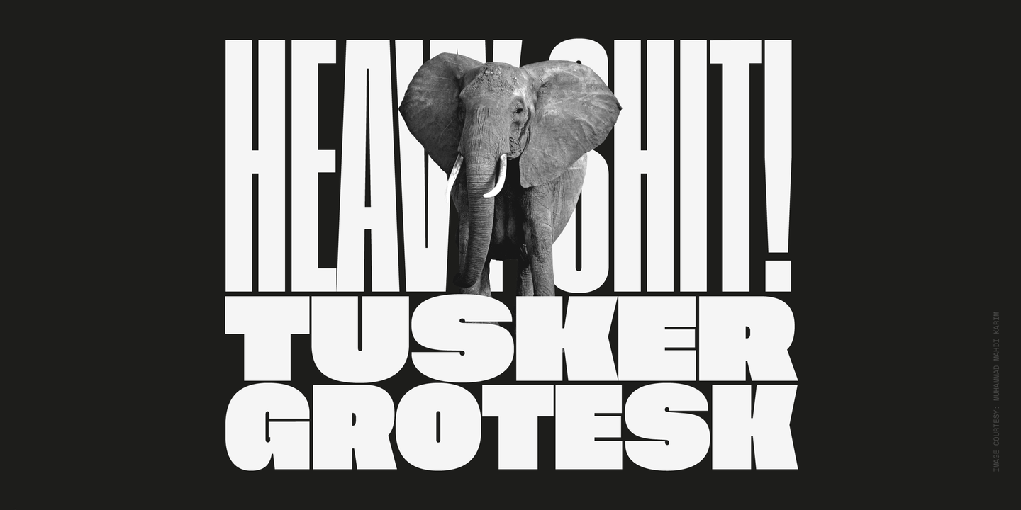 Пример шрифта Tusker Grotesk #1